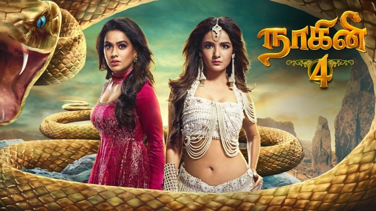 Colors Tamil Channel Serials And Shows TRP Ratings Data Naagini Earned 3 Points