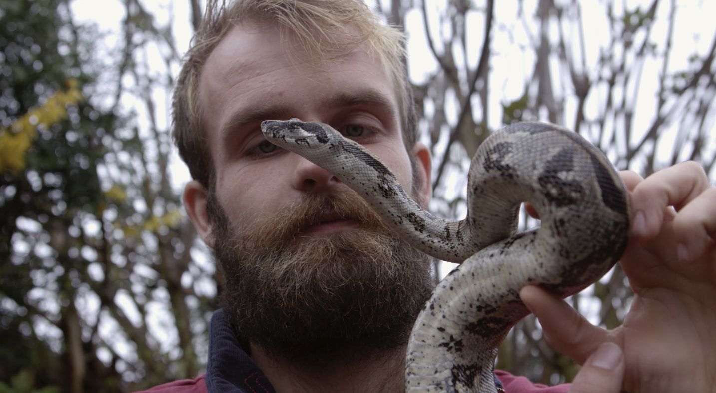 Alex Carpenter Foreigner Snake Catcher