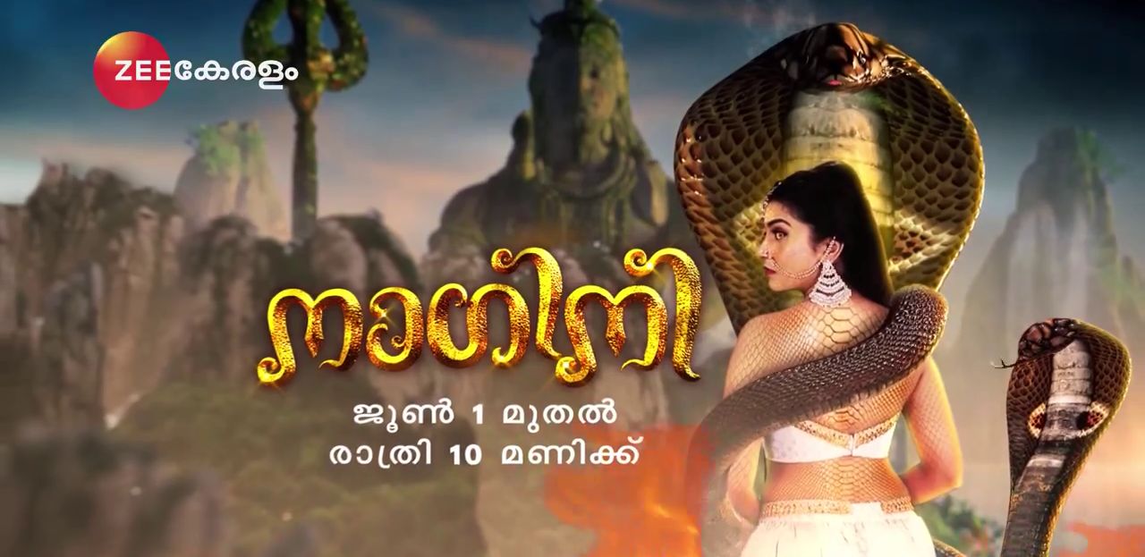 Malayalam Serial Naagini on Zee Keralam Channel