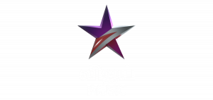 Vijay Music Channel Official Logo
