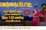 Vanathai Pola Sun TV Serial Launching on 7th December at 7:30 P.M