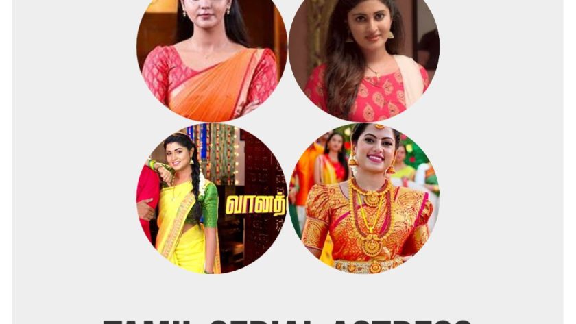 Tamil Serial Actress Name