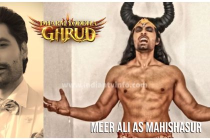 Meer Ali As Mahishasur