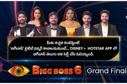 Bigg Boss 6 Telugu Winner Name