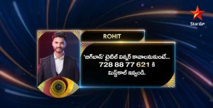 Rohit Sahni Bigg Boss Telugu 6