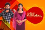 Star Maa Schedule 2023 – List Of Telugu Television Serials And Other Shows With Telecast Time of Bigg Boss 7 Telugu